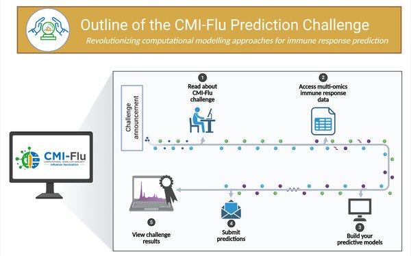 CMI-Flu challenge overview