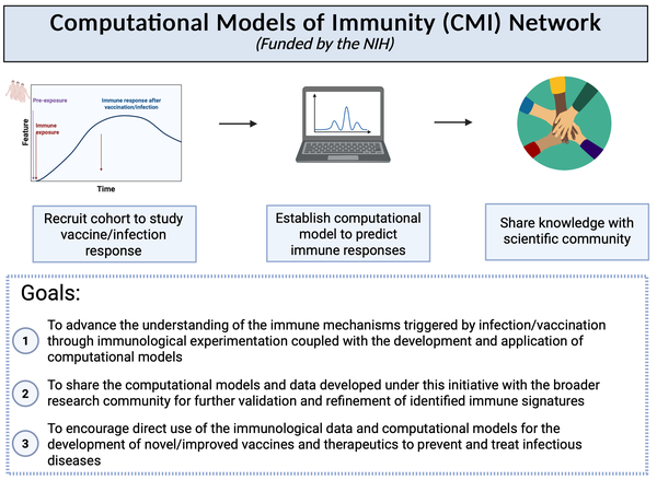 Figure 1: Outline of the CMI network.