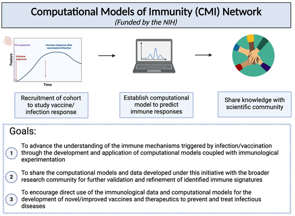 Figure 1: Outline of the CMI network.